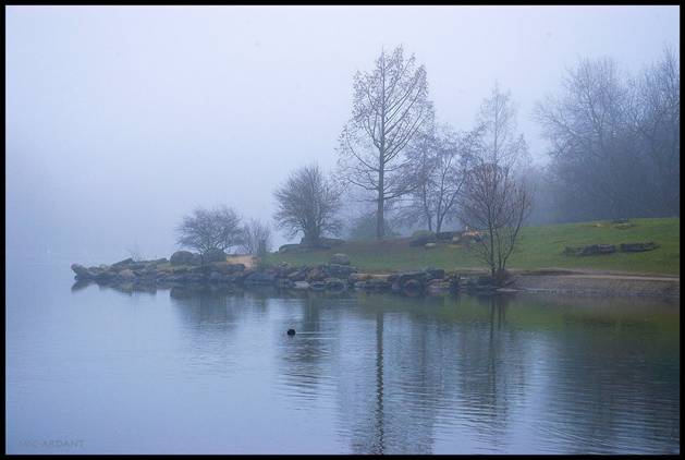 today_morning__fog_